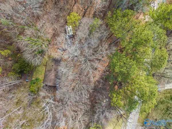 Gurley, AL 35748,381 Shooting Star Trail