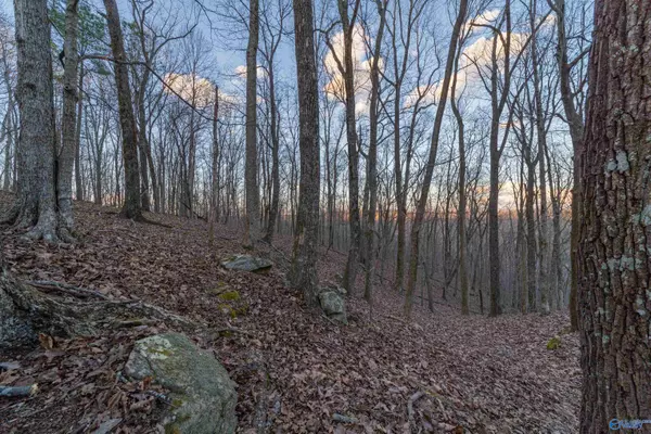 Woodville, AL 35776,1150 Pleasant Grove Road