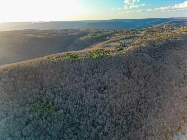 Woodville, AL 35776,1150 Pleasant Grove Road