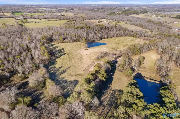 258 Wood Drive, Horton, AL 35980