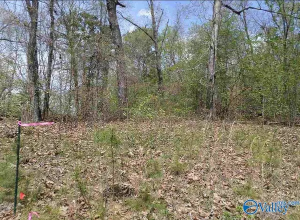 Cedar Bluff, AL 35959,Lot 11 County Road 137