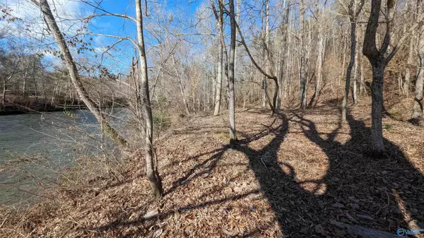 Cedar Bluff, AL 35959,Lot 11 County Road 137