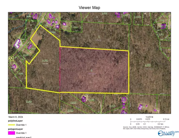 39 acres Fowlers Ferry Road, Southside, AL 35907