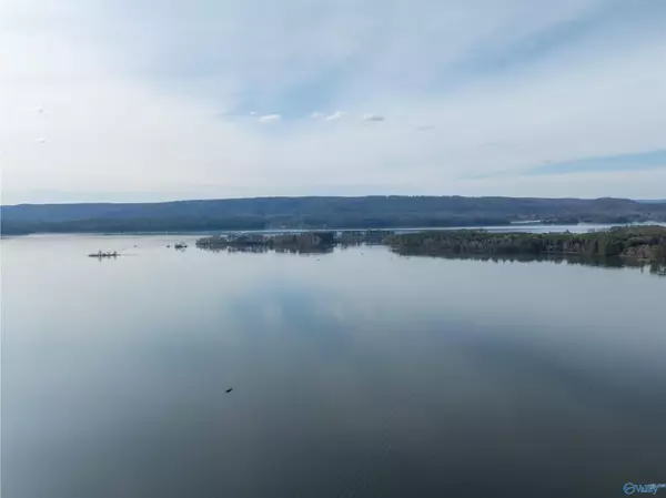 Lot 10 Robert Davis Road, Langston, AL 35755