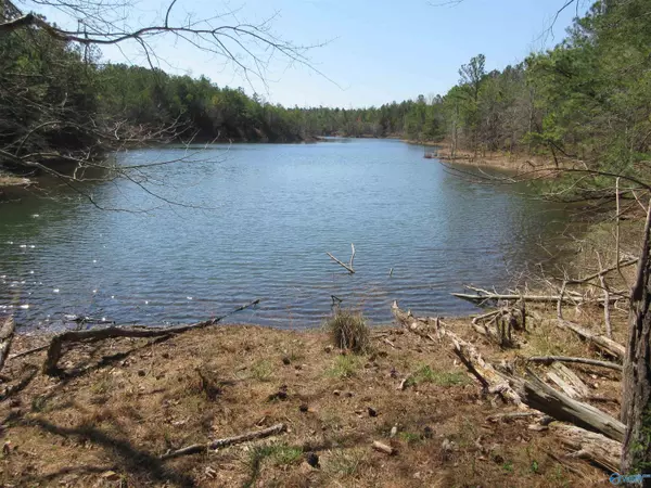 Flat Rock, AL 35966,1876 County Road 684