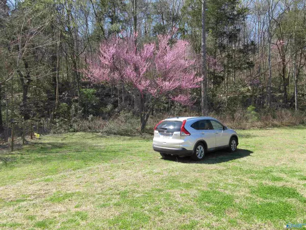 Paint Rock, AL 35764,44 Knolton Street