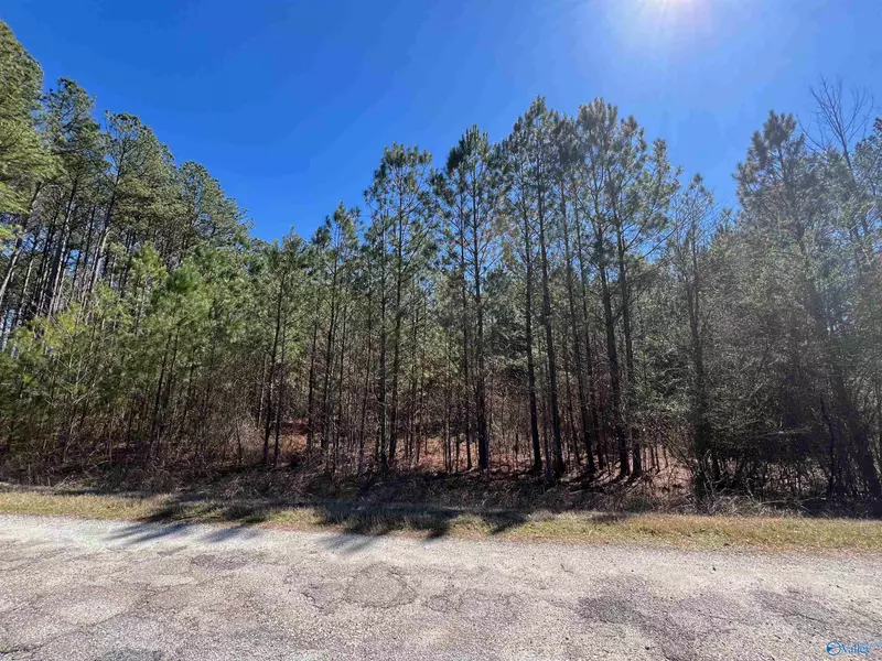 7.29 +/- Acres County Road 586, Heflin, AL 36264