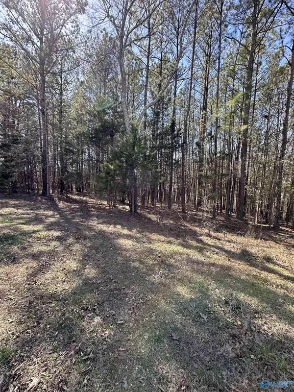 Lexington, AL 35648,9 acres County Road 626