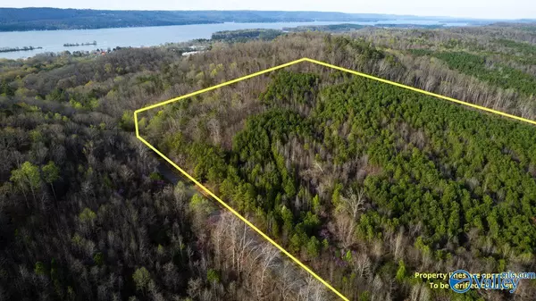 Langston, AL 35755,32.5 Acres Murphy Hill Road