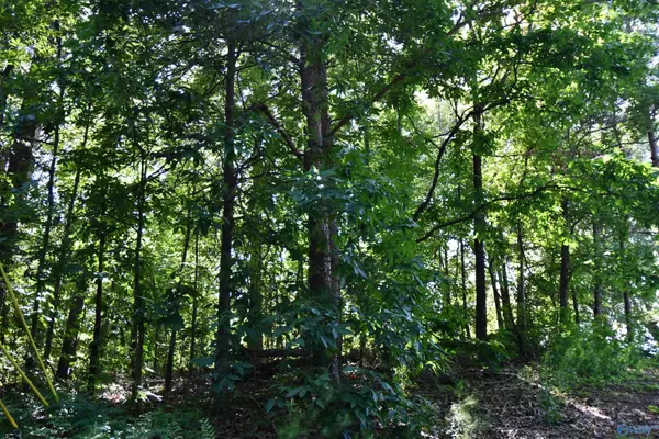 Gadsden, AL 35904,5.86 AC Scenic Drive