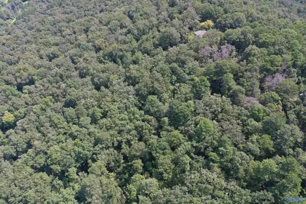 Gadsden, AL 35904,5.86 AC Scenic Drive