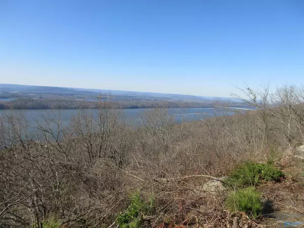 Section, AL 35771,100 Scenic Drive