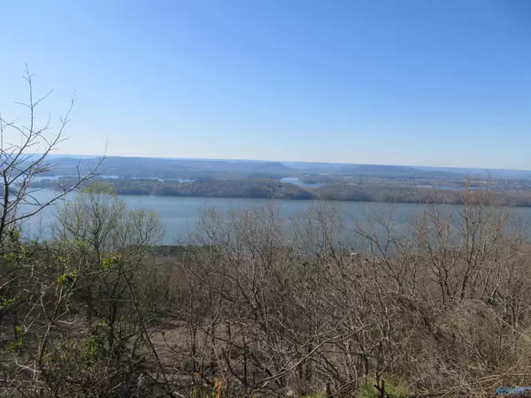 Section, AL 35771,100 Scenic Drive