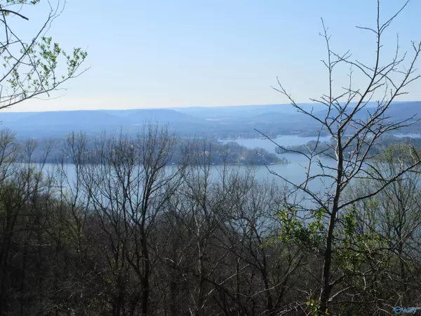 Section, AL 35771,100 Scenic Drive