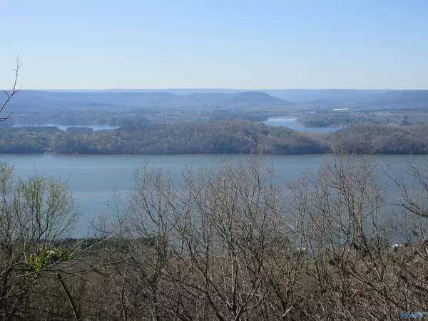 Section, AL 35771,100 Scenic Drive