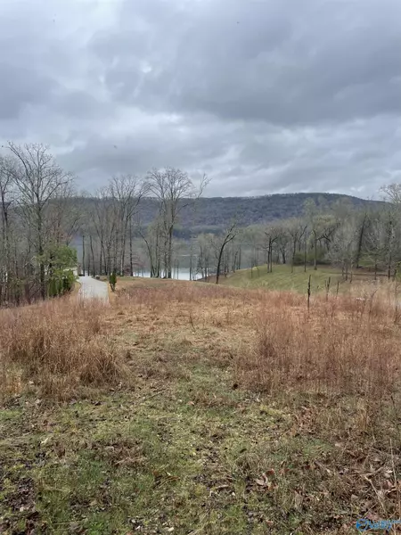 LOT 161 Lookout Mountain Drive, Scottsboro, AL 35769