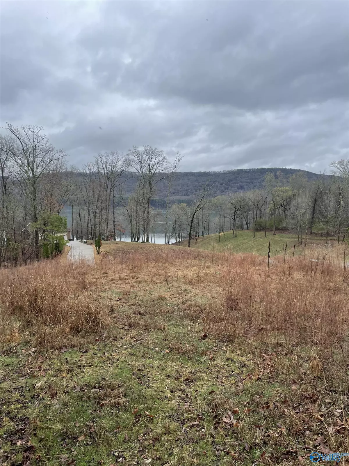 Scottsboro, AL 35769,LOT 161 Lookout Mountain Drive