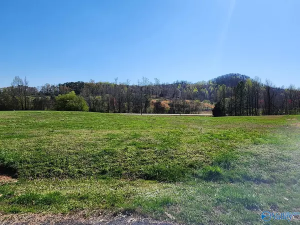 Lot 10 Eliza Lane,  Guntersville,  AL 35976