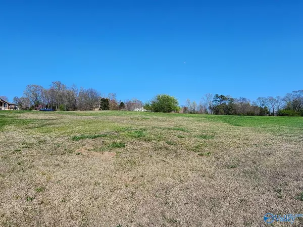 Guntersville, AL 35976,Lot 10 Eliza Lane