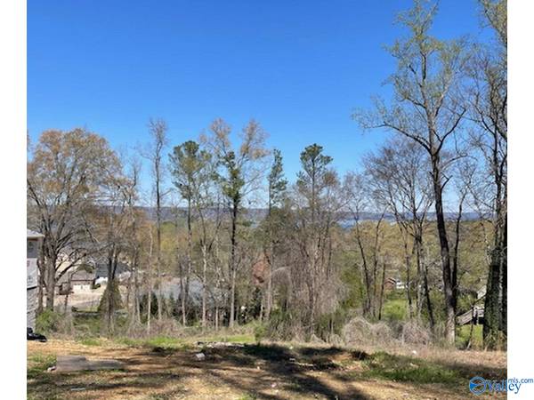 Lot 2 Hickory Hill Drive, Guntersville, AL 35976