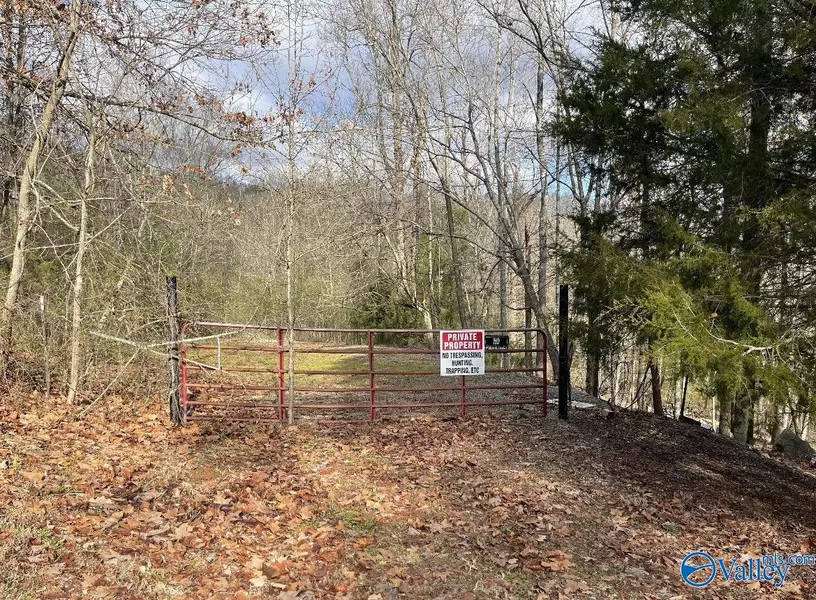 10 AC Edgewood Lane, Guntersville, AL 35976