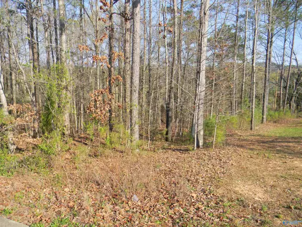 Lot 16 Cade Circle, Leesburg, AL 35983