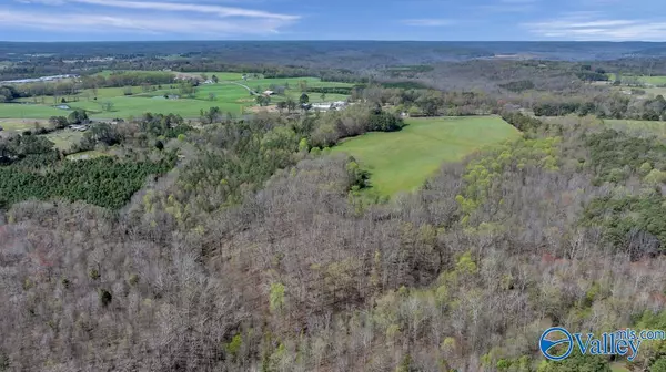 Joppa, AL 35087,47 acres Hwy 67