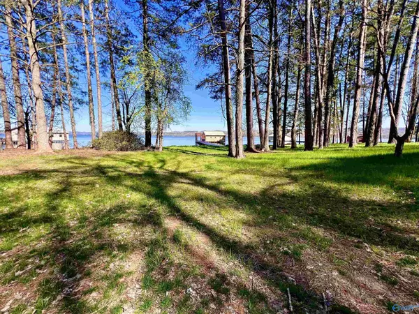 Guntersville, AL 35976,Lot 9A Point Of Pines