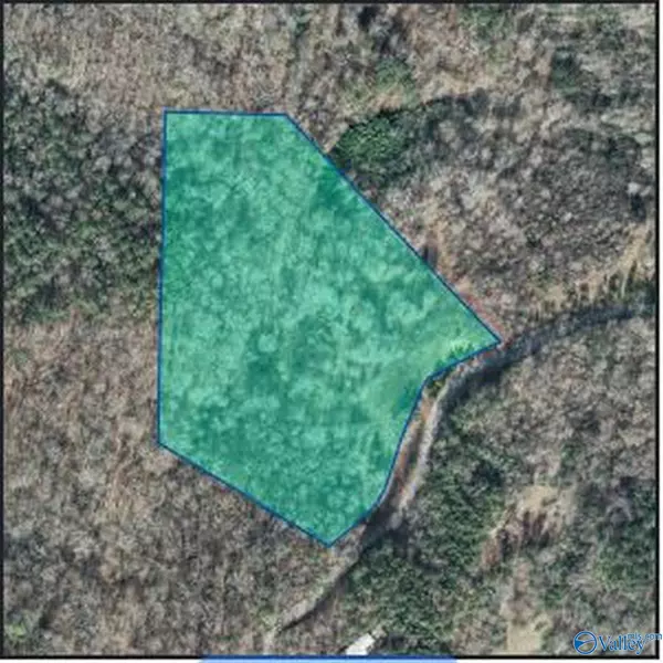 8.54 ACRES Manchester Drive, Guntersville, AL 35976