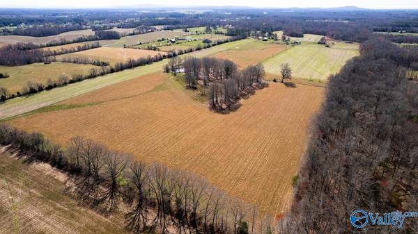 42.8 Acres Ready Section Road, Toney, AL 35773