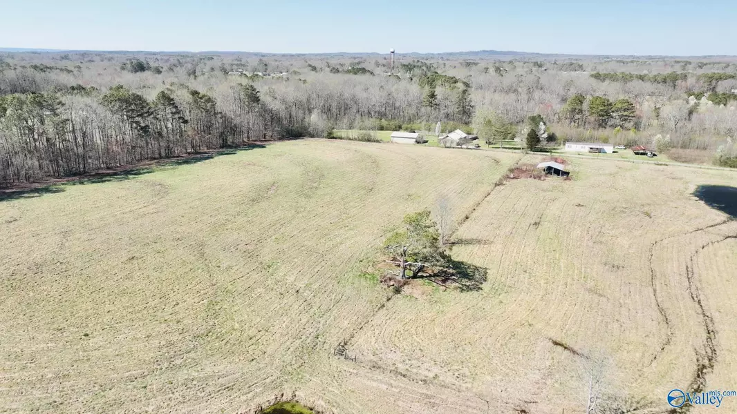 11.92 Acres Amos Drive, Boaz, AL 35956