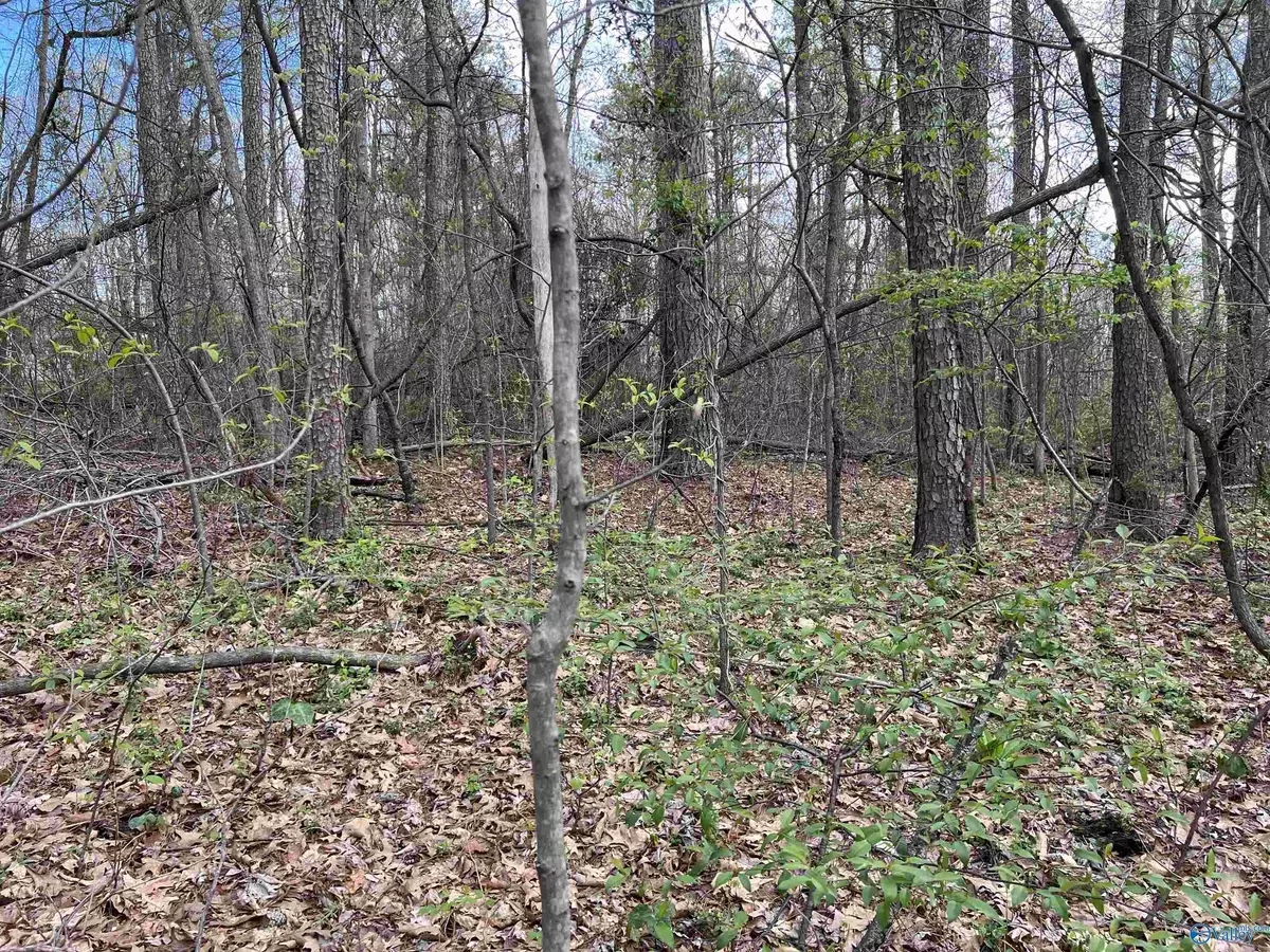 Madison, AL 35758,Lot 24 Brentwood Lane