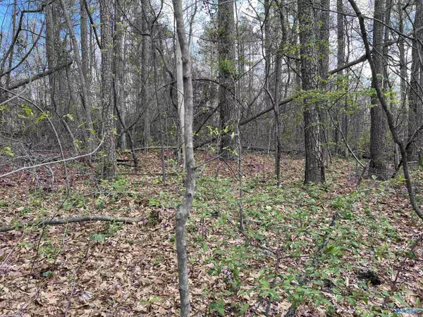 Lot 24 Brentwood Lane, Madison, AL 35758