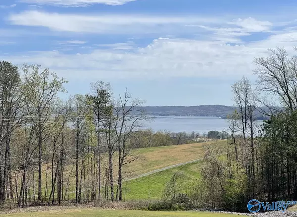 42 Legendary Drive, Guntersville, AL 35976