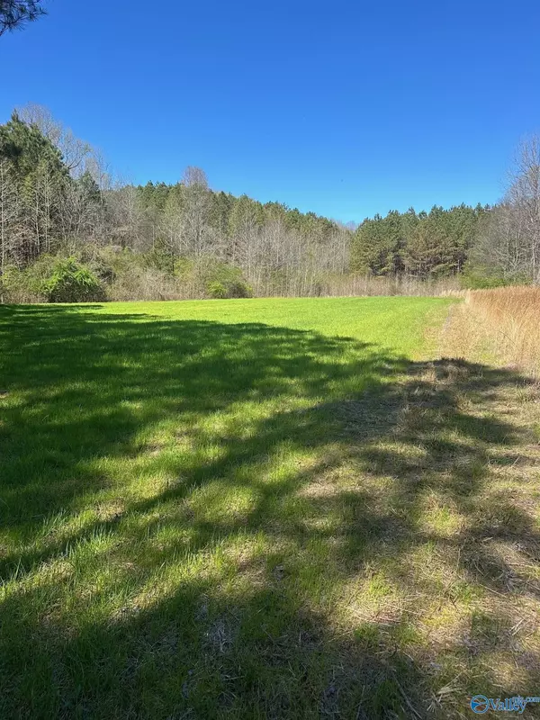 Elkmont, AL 35620,32 Acres Pope Road