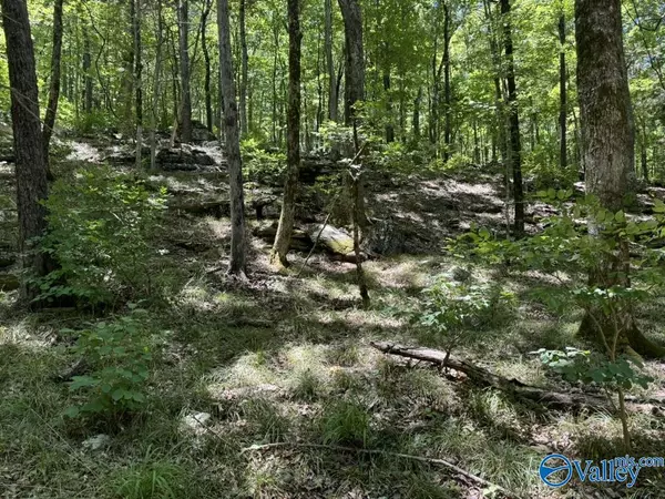 Brownsboro, AL 35741,40 Acres Berry Road