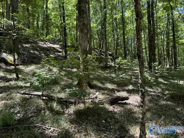 Brownsboro, AL 35741,40 Acres Berry Road