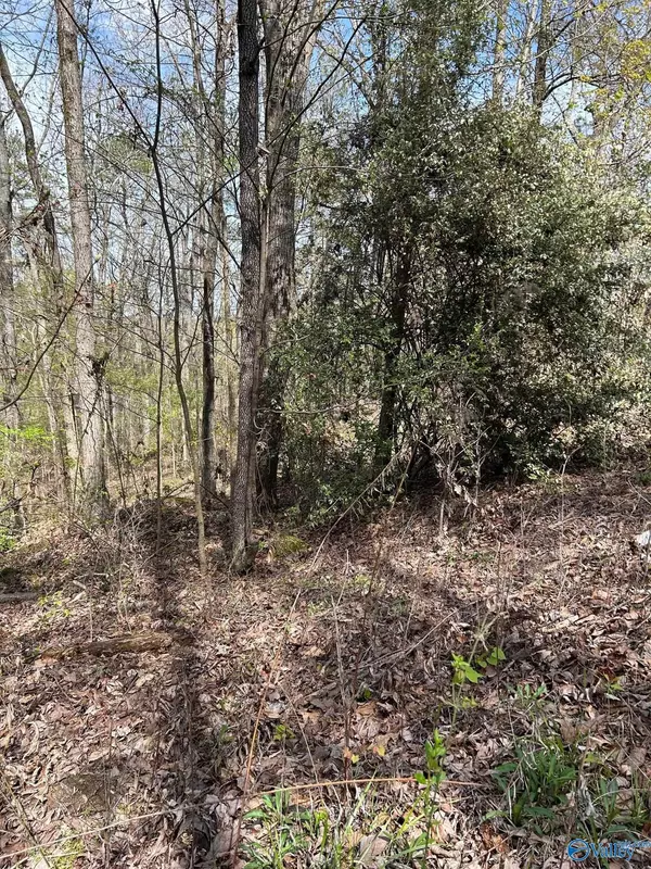 LOT 3 Mountain Top Drive,  Southside,  AL 35907