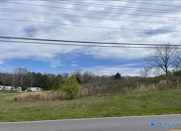 645 Mathis Mill Road, Albertville, AL 35951