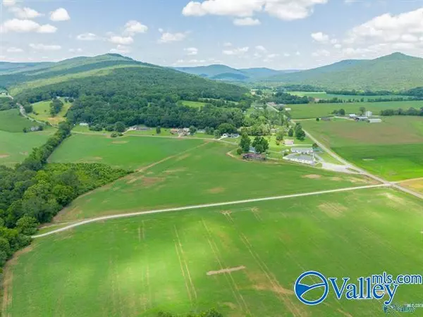 Hollytree, AL 35751,4 Ac County Road 4