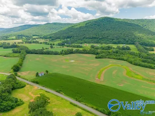 Hollytree, AL 35751,4 Ac County Road 4