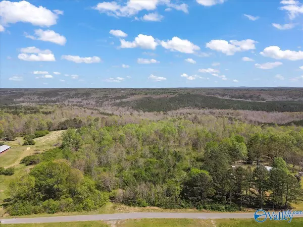 Cullman, AL 35057,42 Acres County Road 998