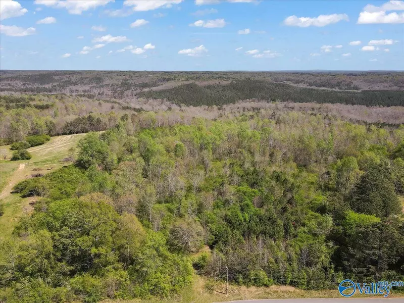 42 Acres County Road 998, Cullman, AL 35057