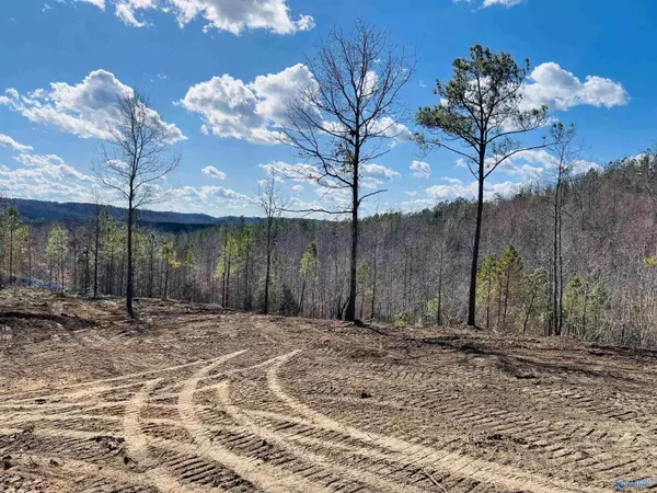 170 acres County Road 21, Ashville, AL 35953