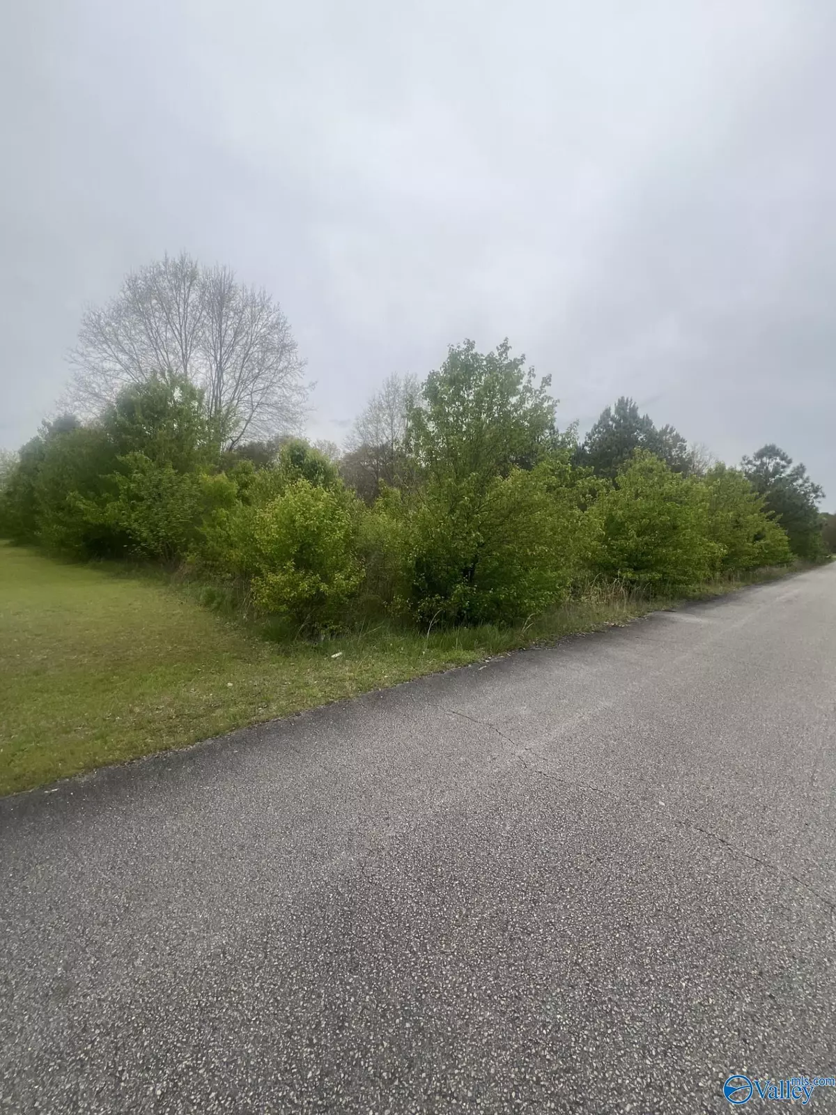 Boaz, AL 35957,Lot 4 Jennifer Lane