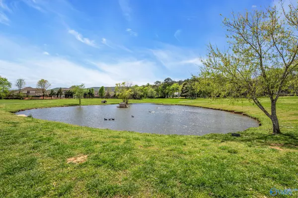 Owens Cross Roads, AL 35763,7.71 ACS Old Big Cove Road