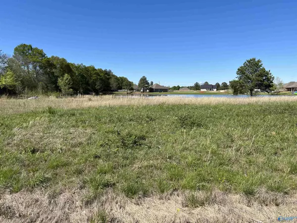 Moulton, AL 35650,LOT 1 County Road 324