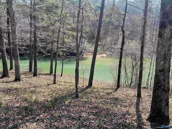 Double Springs, AL 35553,27 Long Leaf Road