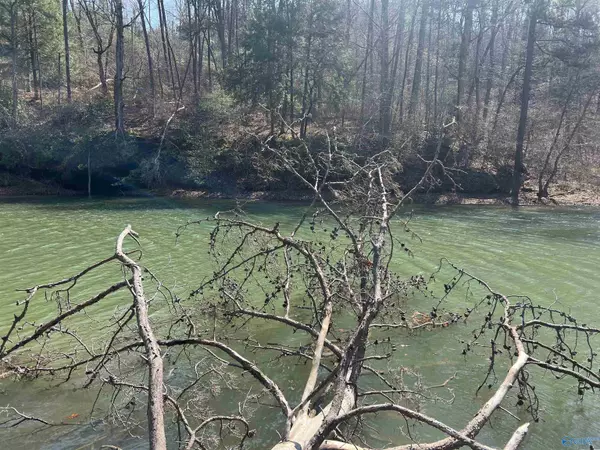 Double Springs, AL 35553,27 Long Leaf Road