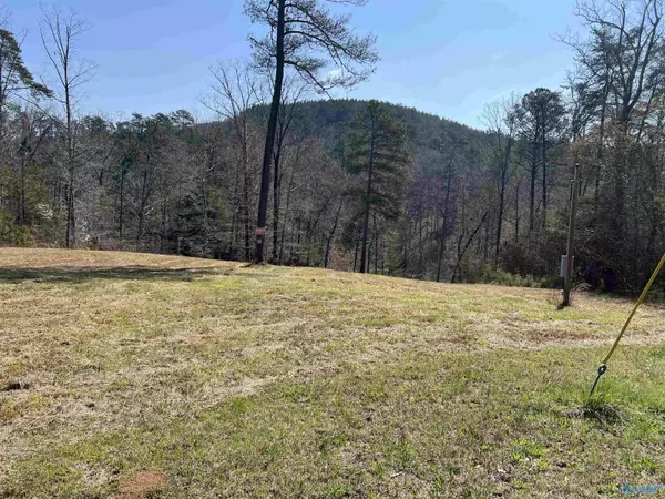 Double Springs, AL 35553,27 Long Leaf Road